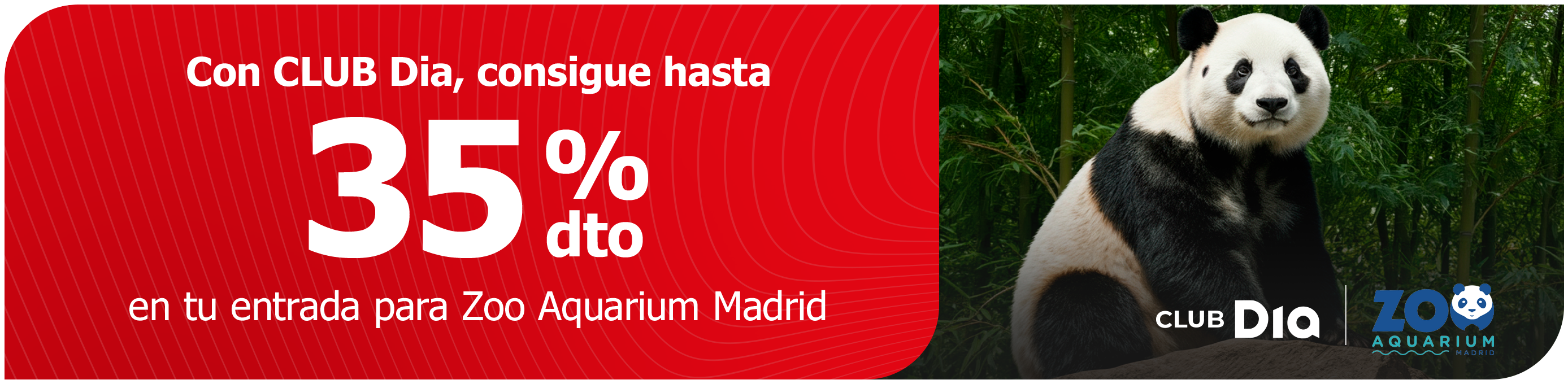 CLUB Dia te lleva a explorar la vida salvaje en Zoo de Madrid